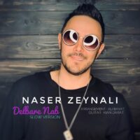 دانلود آهنگ ناصر زينلی با نام دلبر ناب (ورژن گیتار)